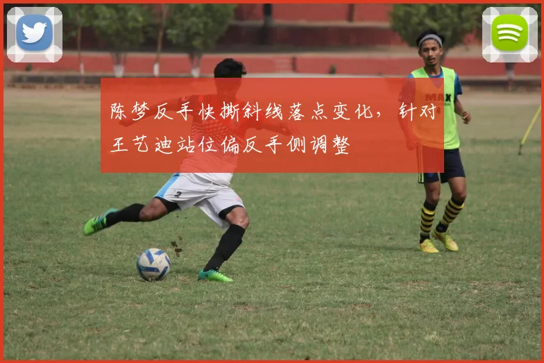 陈梦反手快撕斜线落点变化，针对王艺迪站位偏反手侧调整